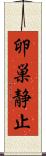 卵巣静止 Scroll