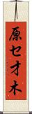原セ才木 Scroll