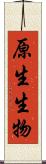 原生生物 Scroll