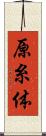 原糸体 Scroll