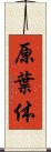 原葉体 Scroll