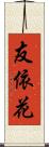 友依花 Scroll