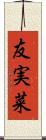 友実菜 Scroll