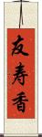 友寿香 Scroll
