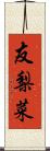 友梨菜 Scroll
