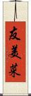 友美菜 Scroll