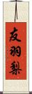 友羽梨 Scroll