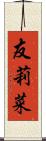 友莉菜 Scroll
