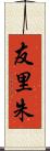 友里朱 Scroll