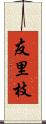 友里枝 Scroll