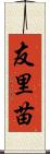 友里苗 Scroll