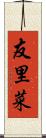 友里菜 Scroll