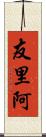 友里阿 Scroll