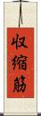 収縮筋 Scroll
