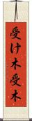 受け木 Scroll