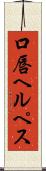 口唇ヘルペス Scroll