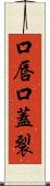 口唇口蓋裂 Scroll