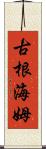 古根海姆 Scroll