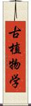 古植物学 Scroll