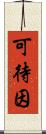 可待因 Scroll
