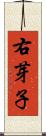 右芽子 Scroll