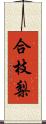 合枝梨 Scroll