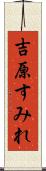 吉原すみれ Scroll