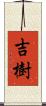 吉樹 Scroll