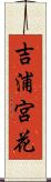 吉浦宮花 Scroll