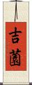 吉薗 Scroll