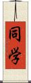 同学 Scroll