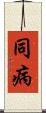 同病 Scroll