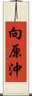 向原沖 Scroll