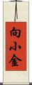 向小金 Scroll