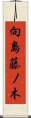 向島藤ノ木 Scroll