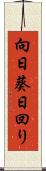 向日葵 Scroll