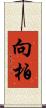 向柏 Scroll