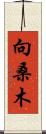 向桑木 Scroll
