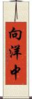 向洋中 Scroll