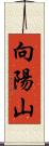 向陽山 Scroll