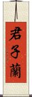 君子蘭 Scroll