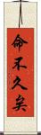 命不久矣 Scroll