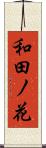 和田ノ花 Scroll