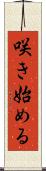 咲き始める Scroll