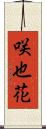 咲也花 Scroll
