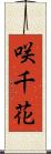 咲千花 Scroll