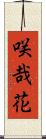 咲哉花 Scroll