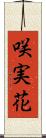 咲実花 Scroll
