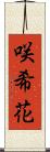 咲希花 Scroll
