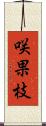 咲果枝 Scroll